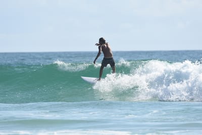 DSC_4371.JPG