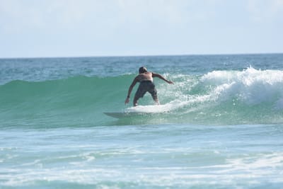 DSC_4381.JPG