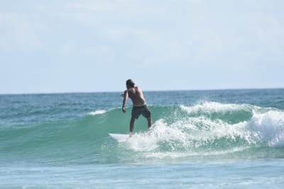 DSC_4383.JPG
