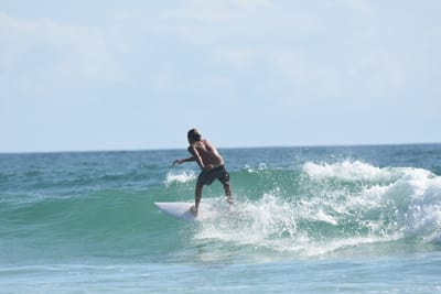 DSC_4384.JPG