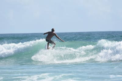 DSC_4390.JPG