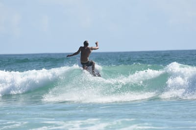 DSC_4391.JPG