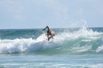 DSC_4395.JPG
