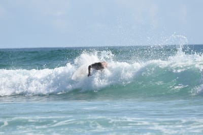 DSC_4396.JPG