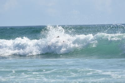 DSC_4397.JPG
