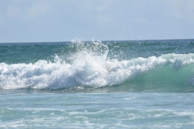 DSC_4398.JPG