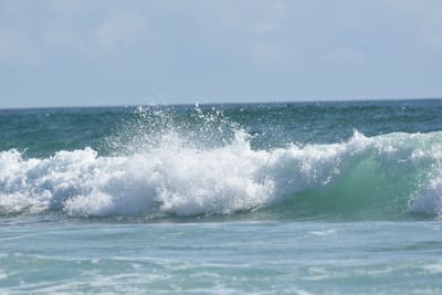 DSC_4399.JPG