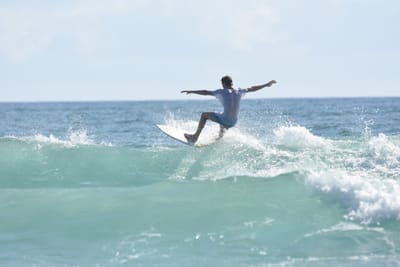 DSC_4428.JPG