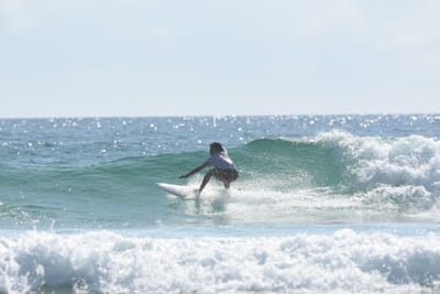 DSC_4446.JPG