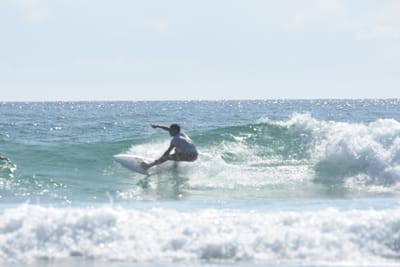 DSC_4447.JPG