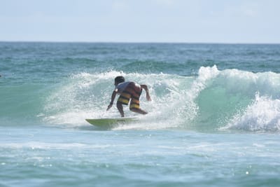 DSC_4483.JPG