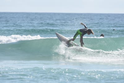 DSC_4512.JPG