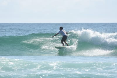 DSC_4554.JPG