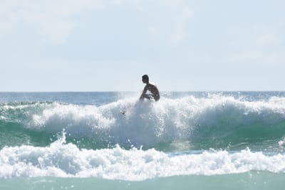 DSC_4623.JPG