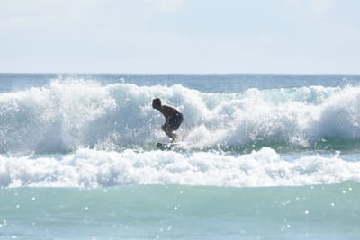 DSC_4625.JPG