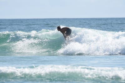 DSC_4653.JPG
