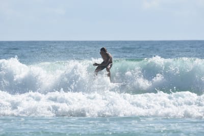 DSC_4699.JPG