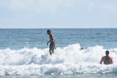 DSC_4701.JPG