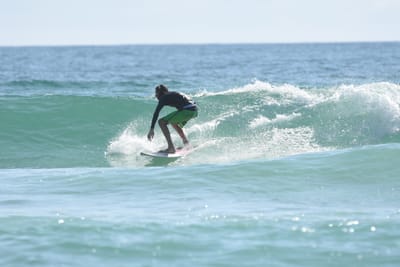 DSC_4739.JPG