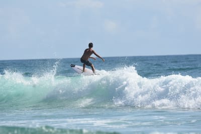 DSC_4763.JPG