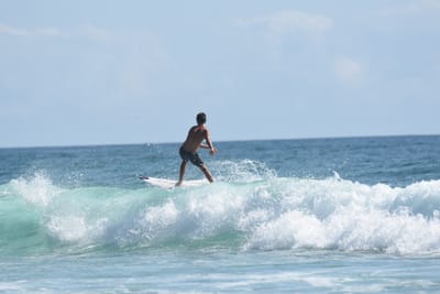 DSC_4765.JPG