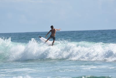 DSC_4767.JPG