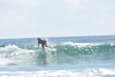 DSC_4770.JPG