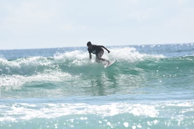 DSC_4771.JPG