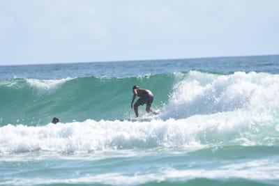DSC_4776.JPG