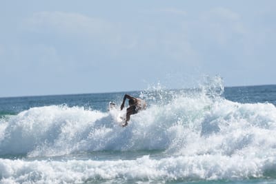 DSC_4784.JPG