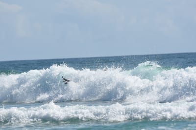 DSC_4786.JPG