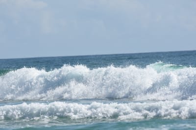 DSC_4787.JPG