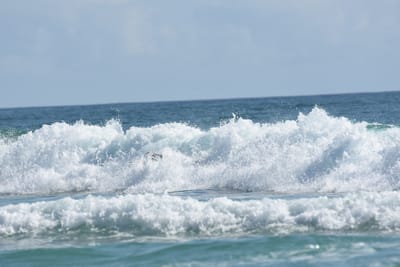 DSC_4788.JPG