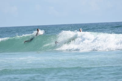 DSC_4799.JPG