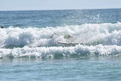 DSC_4813.JPG