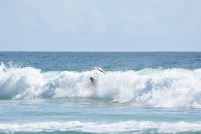 DSC_4841.JPG