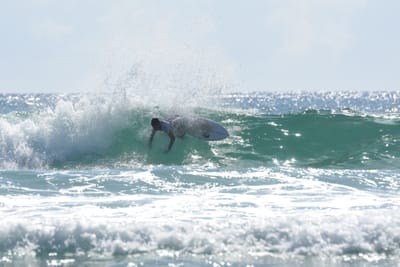 DSC_4856.JPG