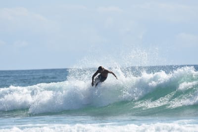 DSC_4865.JPG