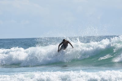 DSC_4866.JPG
