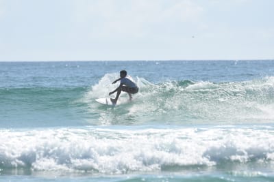 DSC_4901.JPG