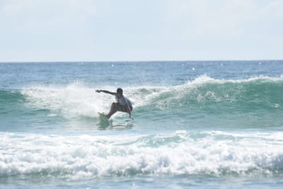 DSC_4905.JPG