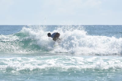 DSC_4915.JPG