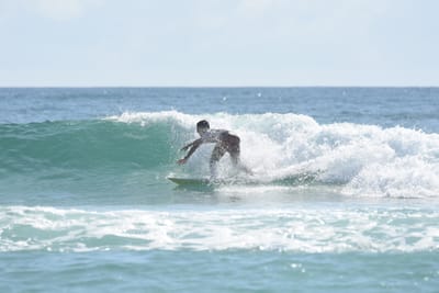 DSC_4917.JPG