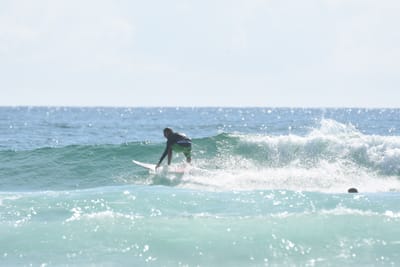 DSC_4930.JPG