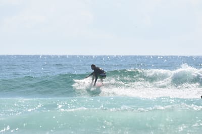 DSC_4931.JPG