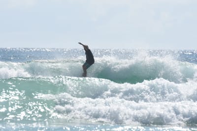 DSC_4950.JPG