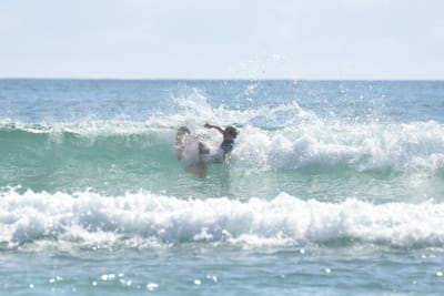 DSC_4957.JPG