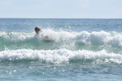 DSC_4959.JPG