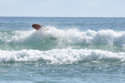 DSC_4960.JPG