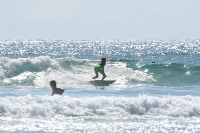 DSC_5025.JPG